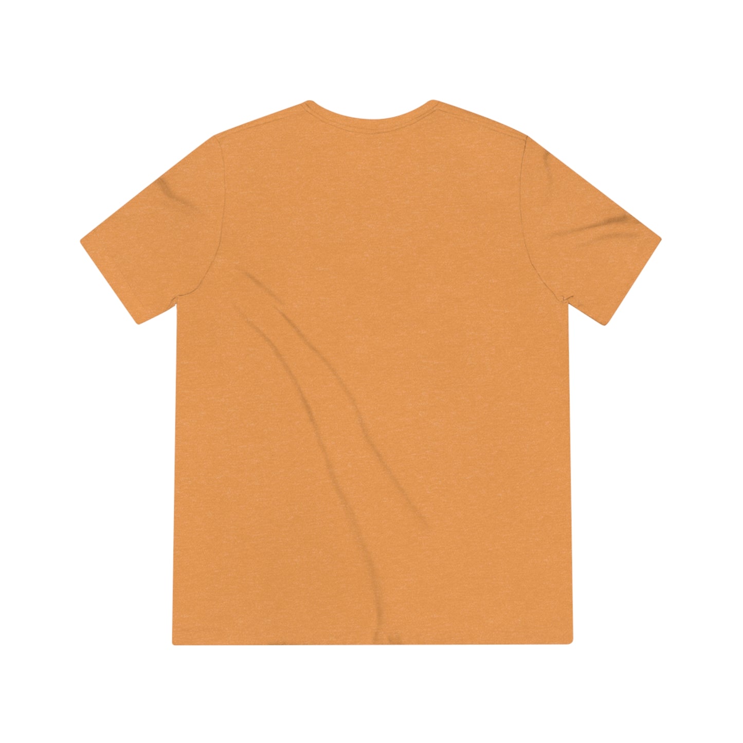 OT Rex Triblend Tee