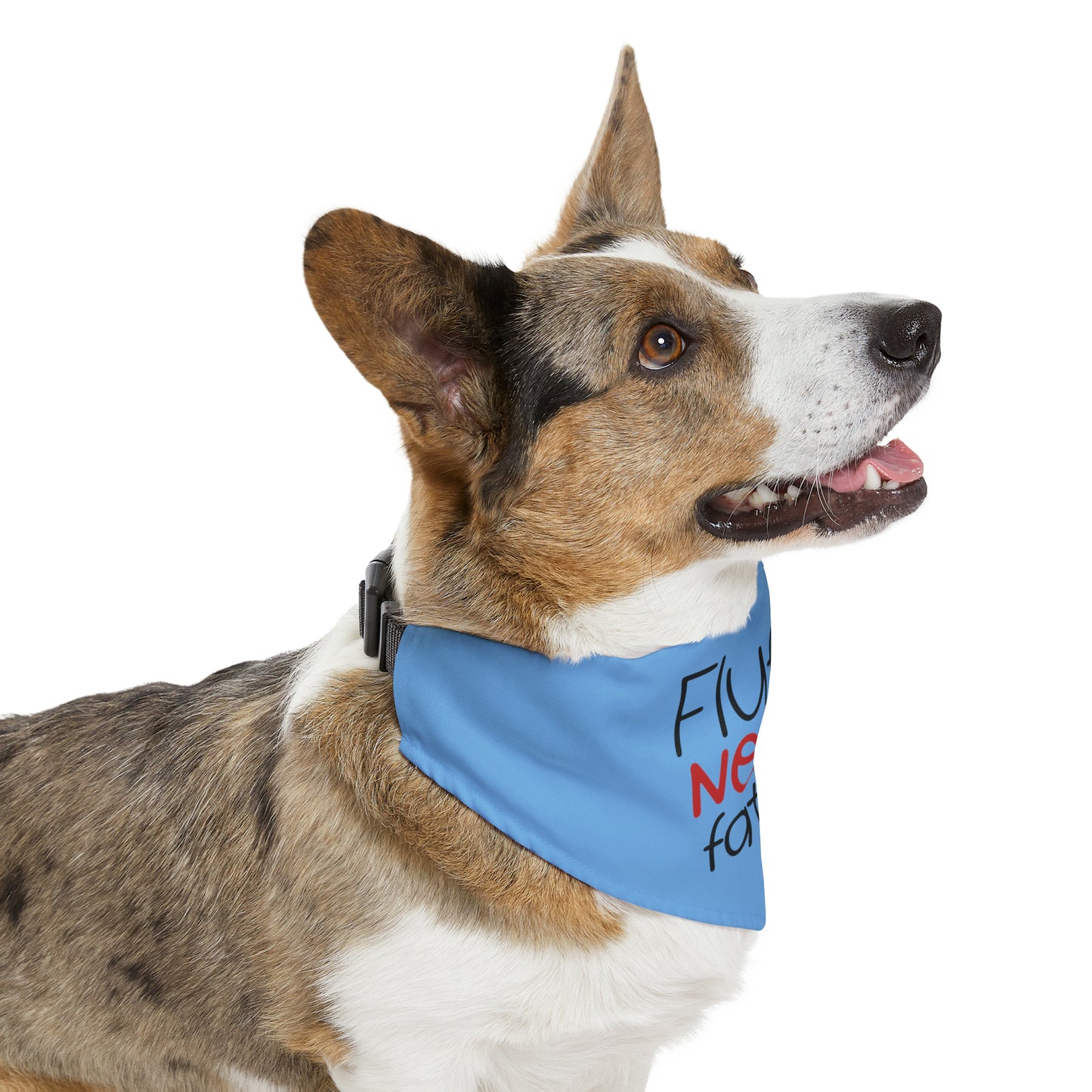 Fluffy Not Fat Pet Bandana Collar