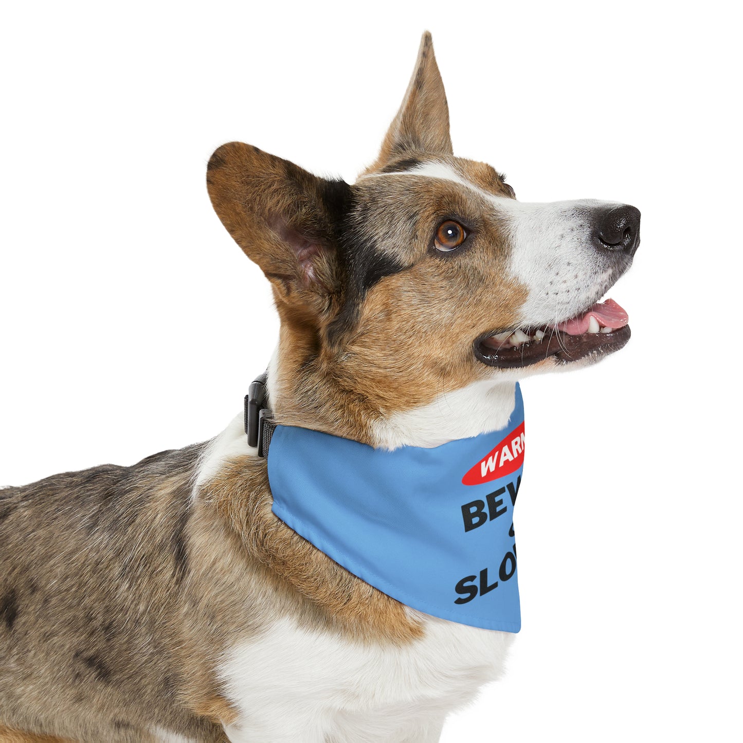 Warning Beware of Slobber Pet Bandana Collar