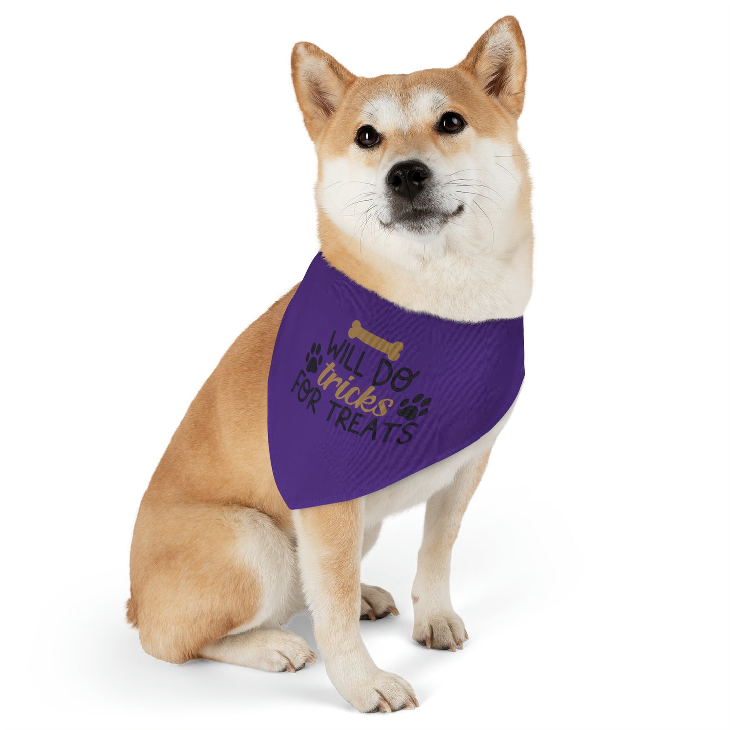 Will Do Tricks For Treats Pet Bandana Collar