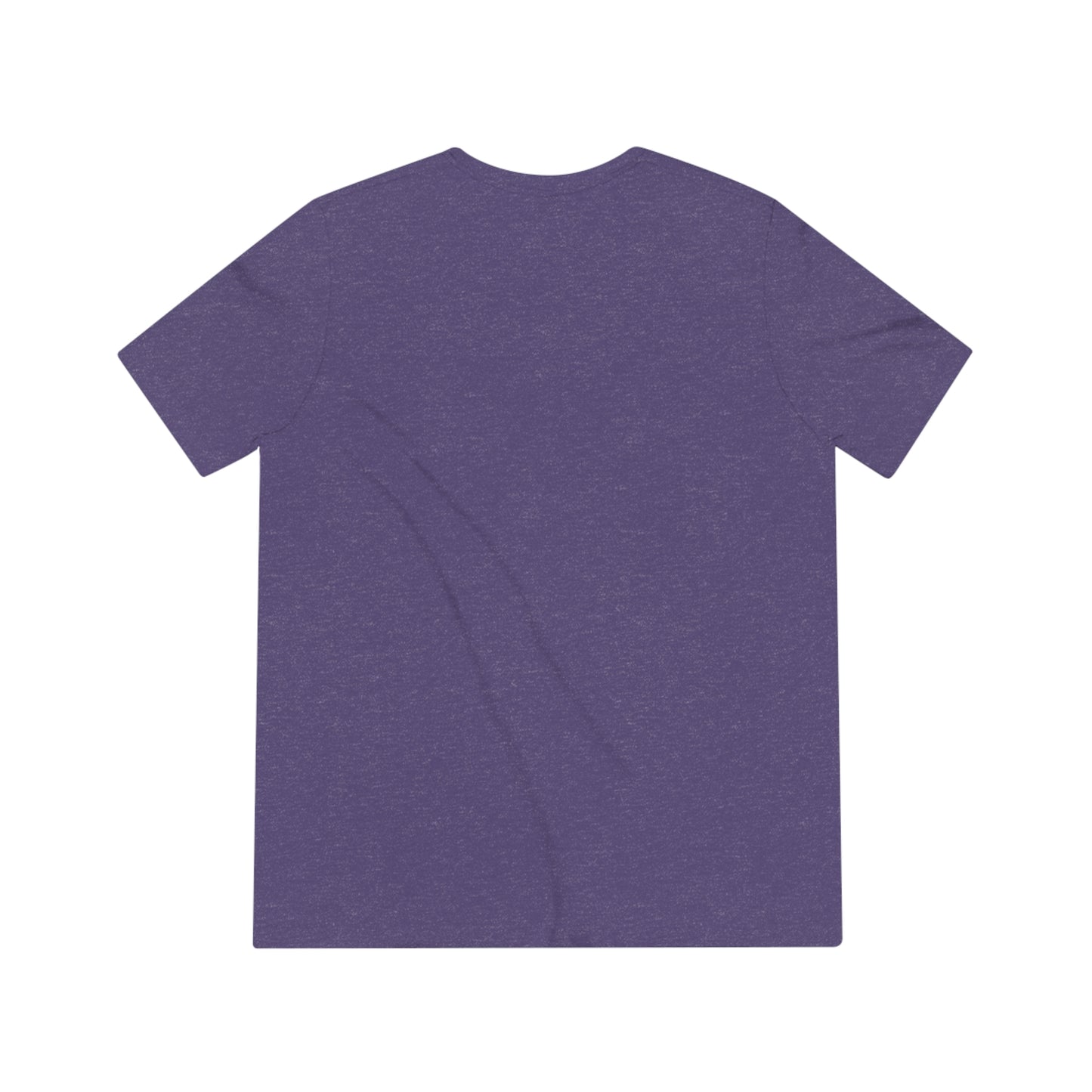 OT Rex Triblend Tee